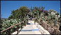 DSC00344.JPG