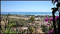 DSC00349.JPG