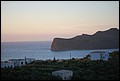 DSC_2334.jpg