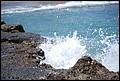 DSC_2463.jpg