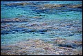 DSC_2512.jpg