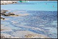 DSC_2543.jpg