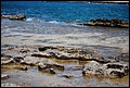 DSC_2689.jpg