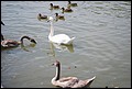 119_DSC_4139.jpg