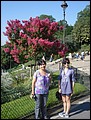 139-DSC07331.JPG