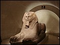 157-DSC07385.JPG