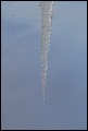 009DSC_0082.jpg