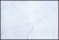 042DSC_0118.jpg
