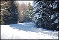 128DSC_0185.jpg