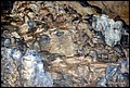 DSC_0296.JPG