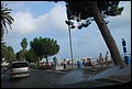 DSC_7647.jpg