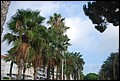 DSC_7649.jpg