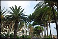 DSC_7652.jpg