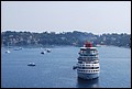DSC_7691.jpg