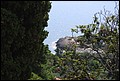 DSC_7717.jpg