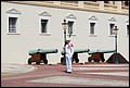 DSC_7736.jpg