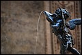 DSC_6633.jpg