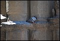 DSC_6643.jpg