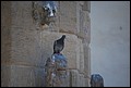 DSC_6644.jpg
