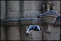 DSC_6645.jpg