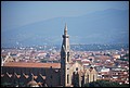 DSC_6677.jpg