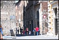 DSC_6685.jpg