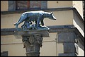 DSC_6691.jpg