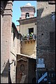 DSC_6693.jpg