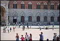 DSC_6695.jpg