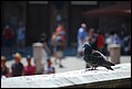 DSC_6697.jpg