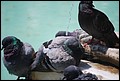 DSC_6702.jpg
