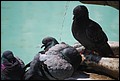 DSC_6703.jpg