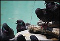 DSC_6704.jpg