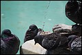 DSC_6705.jpg