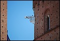 DSC_6726.jpg