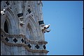 DSC_6729.jpg