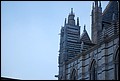 DSC_6730.jpg