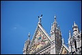 DSC_6733.jpg