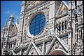 DSC_6735.jpg