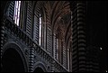 DSC_6762.jpg