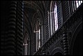 DSC_6779.jpg