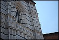 DSC_6784.jpg
