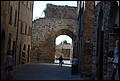 DSC_6794.jpg
