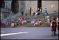 DSC_6805.jpg