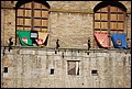 DSC_6808.jpg