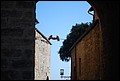 DSC_6815.jpg