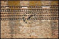 DSC_6817.jpg