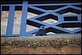 DSC_6832.jpg