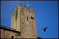 DSC_6846.jpg