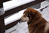 DSC_0004.jpg